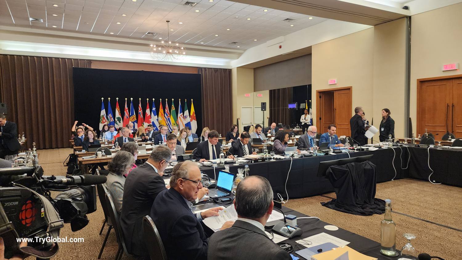Intergovernmental meeting with live translation